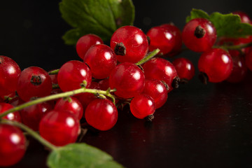A twig with a leaf full of dark red currants. Strongly red delicious currants. A delicious background for use in the media.