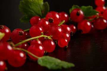 A twig with a leaf full of dark red currants. Strongly red delicious currants. A delicious background for use in the media.