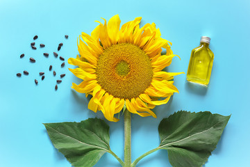 Bottle of natural sunflower oil, seeds and fresh yellow sunflower on blue background. Creative concept organic vegetable oil production, harvest time. Top view, Flat lay, Template