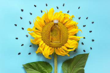 Bottle of natural sunflower oil, seeds and fresh yellow sunflower on blue background. Creative...