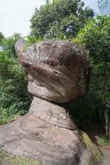 THAILAND PHITSANULOK NATIONAL PARK