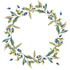 Watercolor Myrtle. Vintage Watercolor Wreath with Green Leaves, Twigs, Berries, Branches of Myrtle - obrazy, fototapety, plakaty