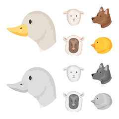 Vector illustration of agriculture and breeding logo. Collection of agriculture and organic vector icon for stock.