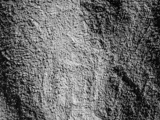 texture of old wall