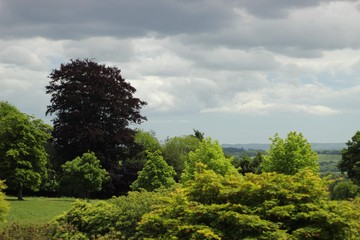 Fototapeta premium Landscape