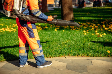 Leaf blower Male worker removes leaves lawn of garden autumn