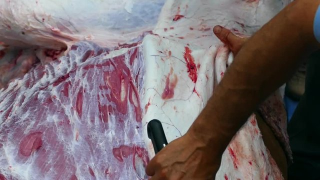 a butcher who cuts the skin of a slaughtered cow, separation of cow skin from meat,Muslims slaughter cows on sacrifice festival,