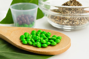 Alternative medicine and homeopathic tablets. Wooden spoon with green pills and herbs on a white background. Herbal medicine and homeopathy.