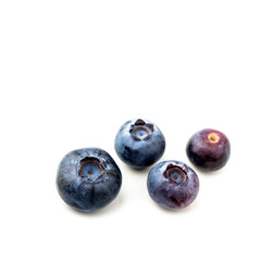 Bilberry