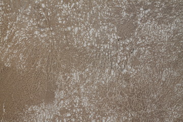  sand web, texture, background