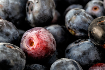 Bilberry