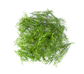Fresh dill in  isolated on white background. top view