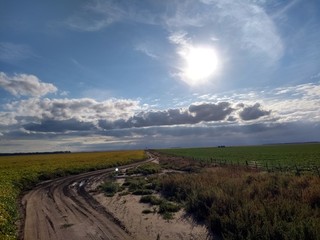 camino
