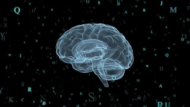Holographic Human Brain and flying letters | Glowing letters around Human Brain Model  | Seamless Looping Motion 3d Animated Background | Blue Cyan