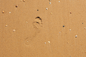 Fototapeta na wymiar Fussabdruck im Sand