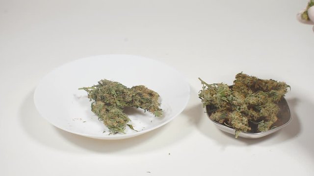 policeman in the laboratory examines drugs