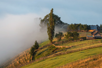 Fototapeta premium Summer foggy sunrise in the Carpathian hills