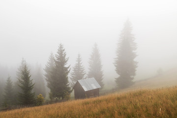 Summer foggy sunrise in the Carpathian hills
