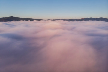 Summer aerial landscape above the fog