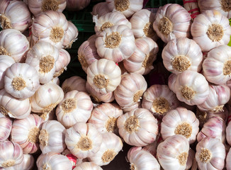 Garlic on market stall, Buehl, Baden Wuerttemberg, Germany, Europe