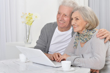 Portrait of happy senior bookkeepers working with laptop