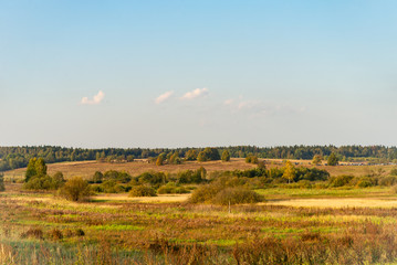 Golden field, clouds and blue sky, forest in the background on an autumn day. Horizontal image.