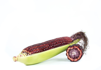 red purple corn