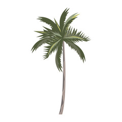 tropical summer relax holiday cartoon