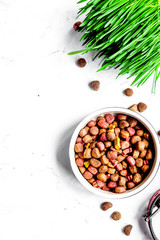 dry dog food in bowl on stone background top view