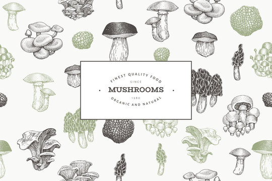 Mushrooms design template. Vector hand drawn illustrations. Mushroom in retro style. Autumn food background.