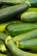 fresh zucchini