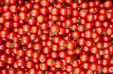 Ripe red tomatoes close up. Fresh vegetables