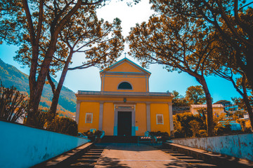 historical church framed by treeshistorical church framed by trees