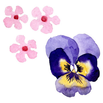 recommend clip art: Ornament with pansies botanical flowers. Watercolor background illustration set. Isolated viola illustration element.