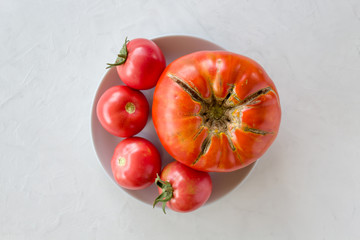 trendy ugly vegetables. A large tomato on a plate and ordinary tomatoes on a light gray background....