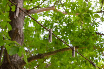 Fototapeta premium clothespin pin and clothesline for drying clothes outdoors in summer horizontal