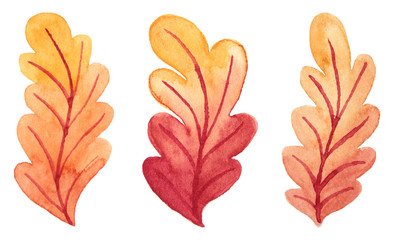 Obraz premium Watercolor botanical collection of autumn leaves