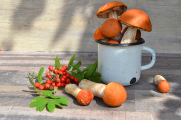 Orange and red cap boletus mushroom, food background on shabby table