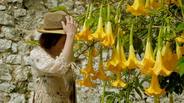 Beautiful woman is inhaling the aroma of a blossoming brugmansia tree. 4K