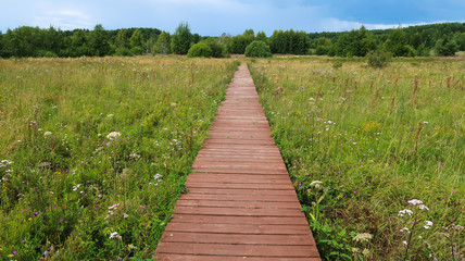 Nature trail boardwalk in the field. Outdoor recreational activities, eco trail. Russia