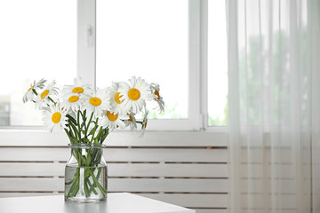 Vase with beautiful chamomile flowers on table in room. Space for text
