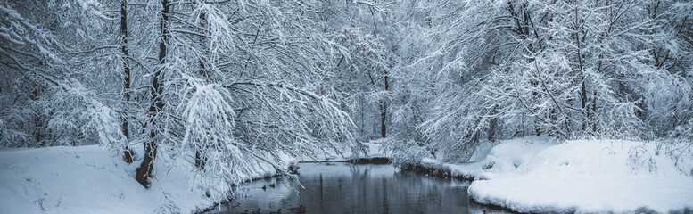 winter panorama of forest wrapped in snow river and ducks