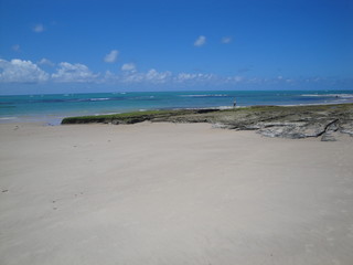 The beautiful landscape found in the beaches of Alagoas, Brazil.