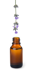 Dripping essential oil from lavender flower into bottle isolated on white