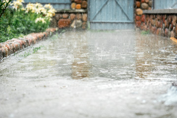 Rain fall on the ground in rains season