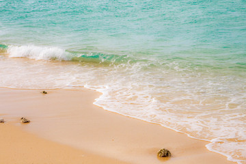 Obraz premium 真夏の海、南国の風