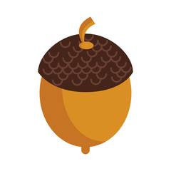 Nut autumn snack cartoon isolated