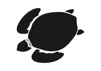 graphic sea turtle,vector illustration of sea turtle