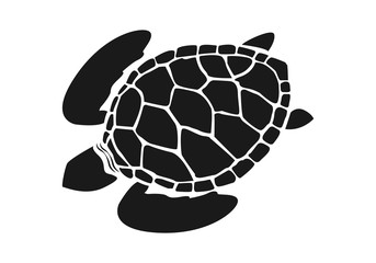 graphic sea turtle,vector illustration of sea turtle