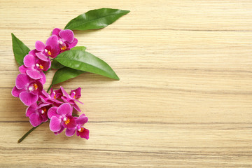 Obraz na płótnie Canvas Top view of beautiful orchid flowers with green leaves on wooden background, space for text